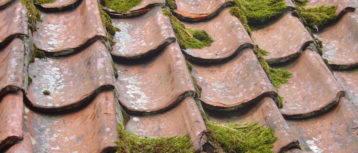 Dachsanierung Jahreszeit – Wann es sich wirklich lohnt